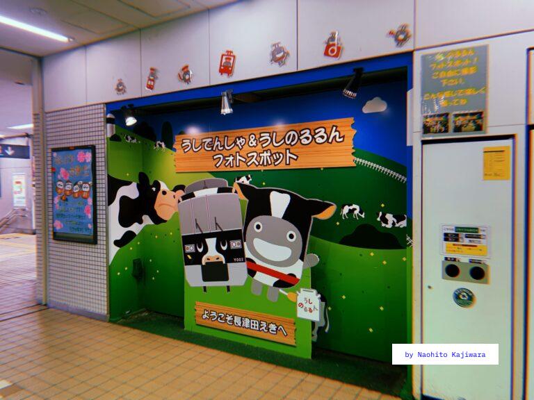 Cow Train and Cow Run Photo Spot
