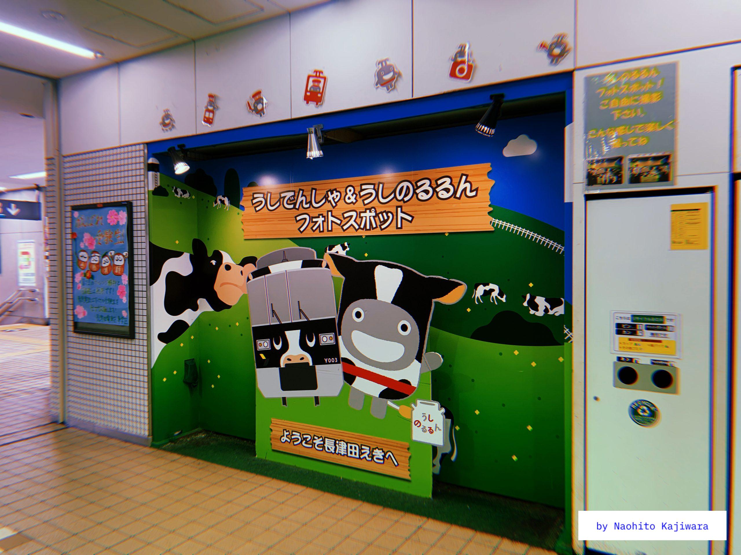 Cow Train and Cow Run Photo Spot